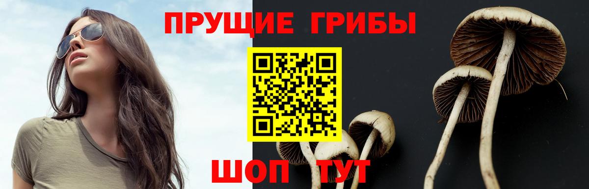 Псилоцибиновые грибы Psilocybe  Вход с VPN  Елец 